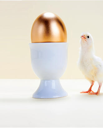 A chick looks up at a big golden egg