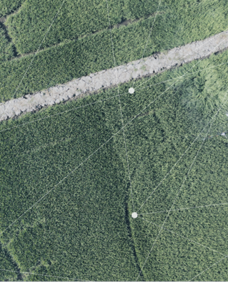 overhead image of a plot of agriculture 