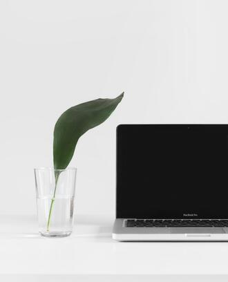 A green leaf in a glass of water sits next to a laptop screen in this calm image