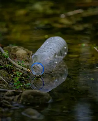 Water bottle floating in dark forested creek
