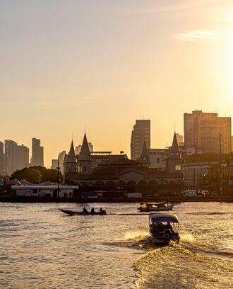 Carolina Evangelista