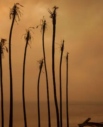 The remains of a home destroyed during the Palisades Fire on January 8, 2025, in Malibu, California.
