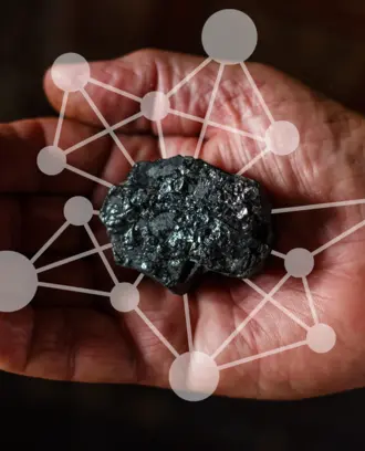 Coal with interconnected web behind it