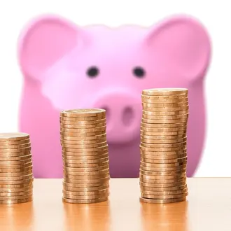 Piggy bank and coins