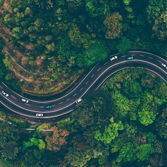 Aerial view of cars driving windy road between lush green forest.