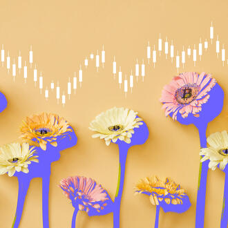 A stock market ticker over a row of daisies with bitcoins in the pistils