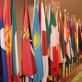 UN Nation Flags