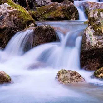 A waterfall stream in the forest