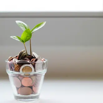 Image of a small plant with leaves apparently growing out of a container of coins.