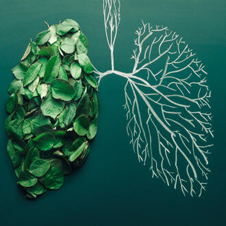 Chalk drawing of lungs with leaves filling in left lung