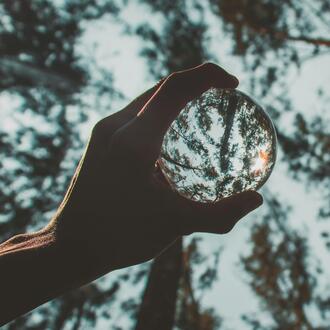 Hand holding crystal ball peering through trees
