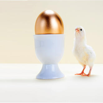 A chick looks up at a big golden egg