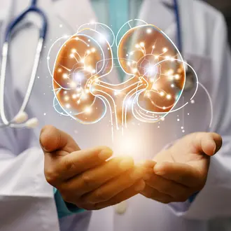 Doctor holding kidney