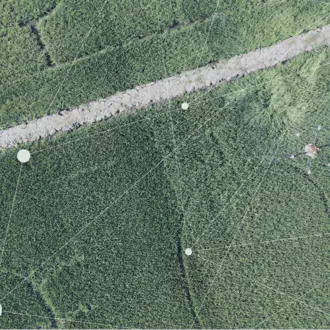 overhead image of a plot of agriculture 