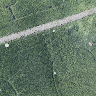 overhead image of a plot of agriculture 