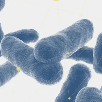 microscopic bacteria 