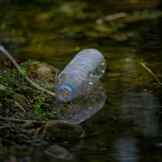 Water bottle floating in dark forested creek