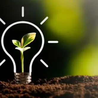 Seedling in lightbulb