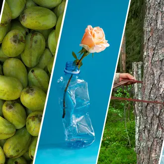 Abstract collage of climate issues startups hope to address with technology