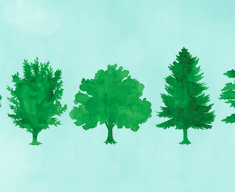 six green trees, all of different varieties