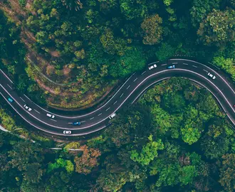 Aerial view of cars driving windy road between lush green forest.