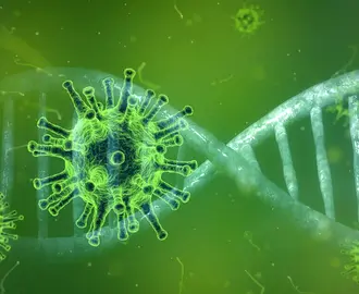 coronavirus and DNA strand
