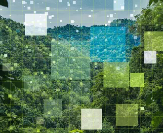 Data squares transposed on a green forest