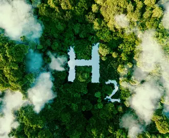 Aerial view of H2 symbol in jungle