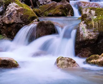 A waterfall stream in the forest