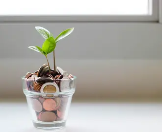 Image of a small plant with leaves apparently growing out of a container of coins.