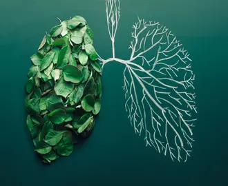 Chalk drawing of lungs with leaves filling in left lung