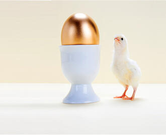 A chick looks up at a big golden egg