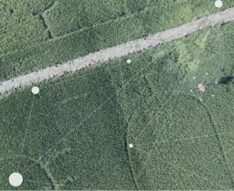 overhead image of a plot of agriculture 