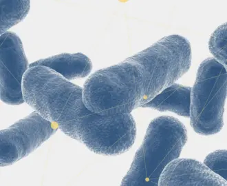 microscopic bacteria 