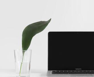 A green leaf in a glass of water sits next to a laptop screen in this calm image