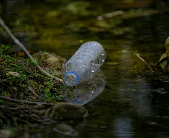 Water bottle floating in dark forested creek