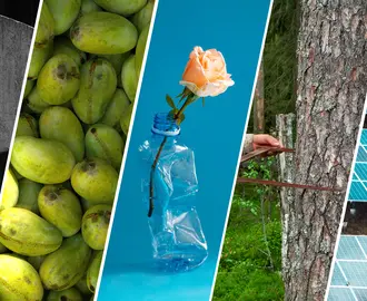 Abstract collage of climate issues startups hope to address with technology