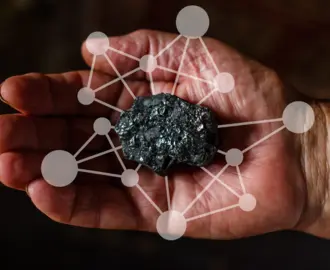 Coal with interconnected web behind it