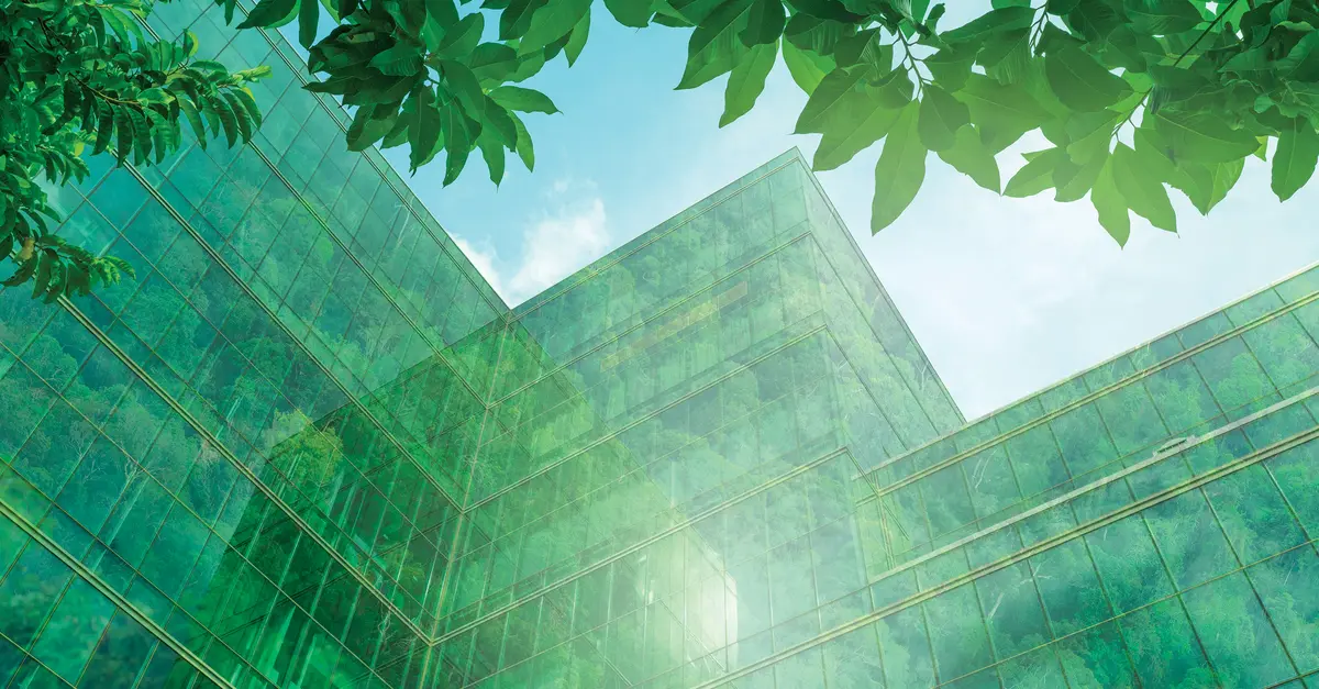 How to choose carbon offsets that actually cut emissions | MIT Sloan