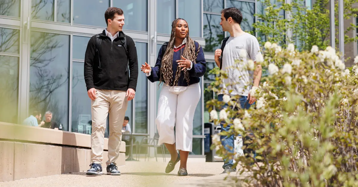 How ID Lab Creates Connections and Busts Leadership Myths | MIT Sloan