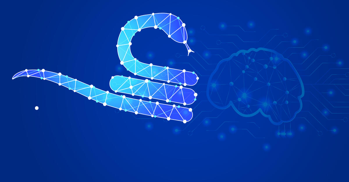 AI Snake Oil
