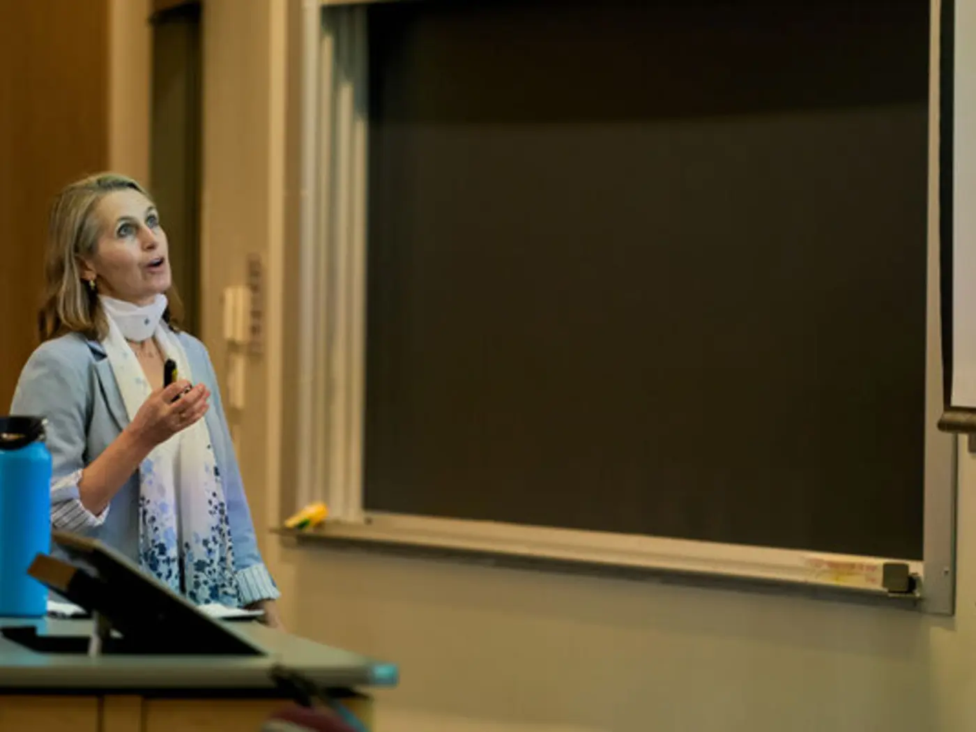 Catherine Wolfram in the classroom 