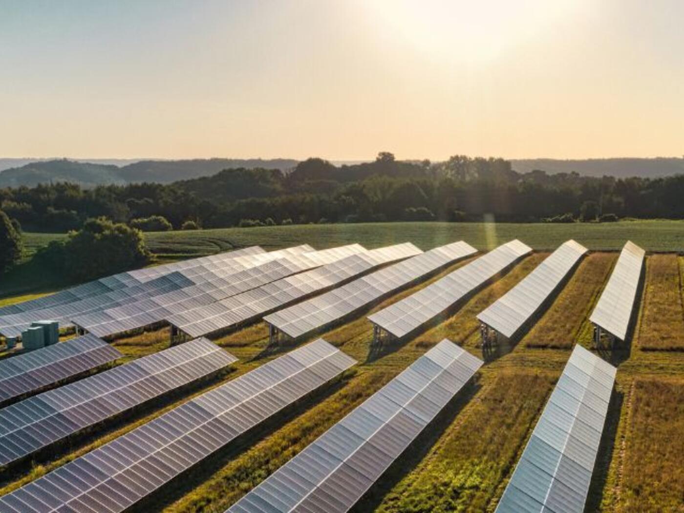 solar panels under the sun