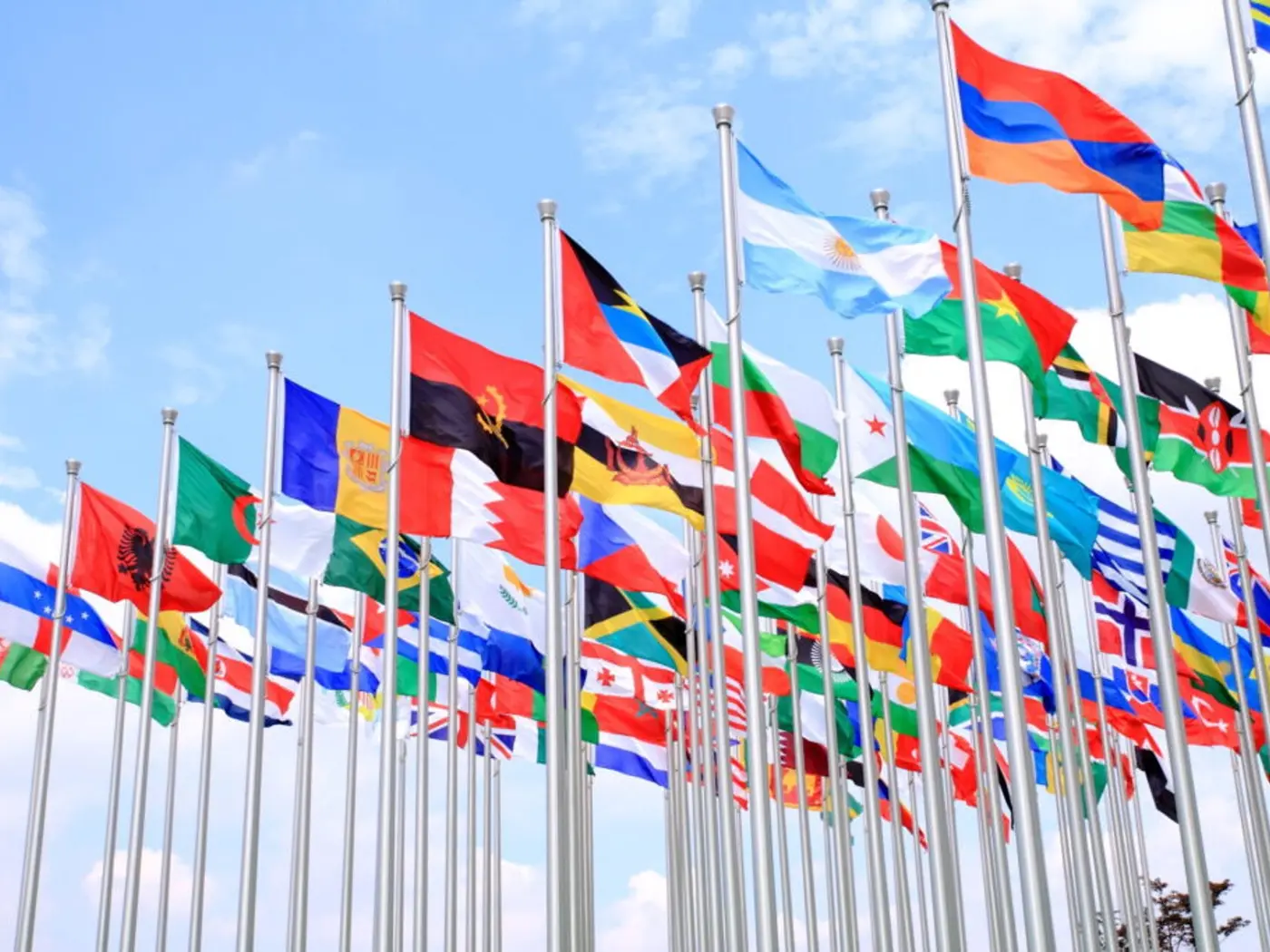 collection of country flags flying