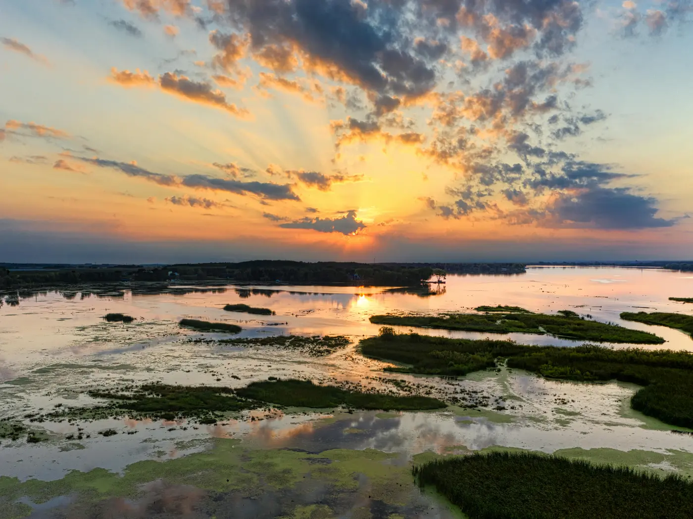 Drone Shot of a Wetland