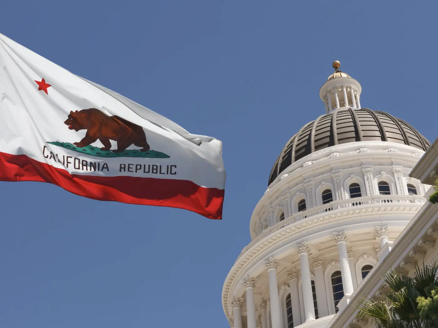 California Flag