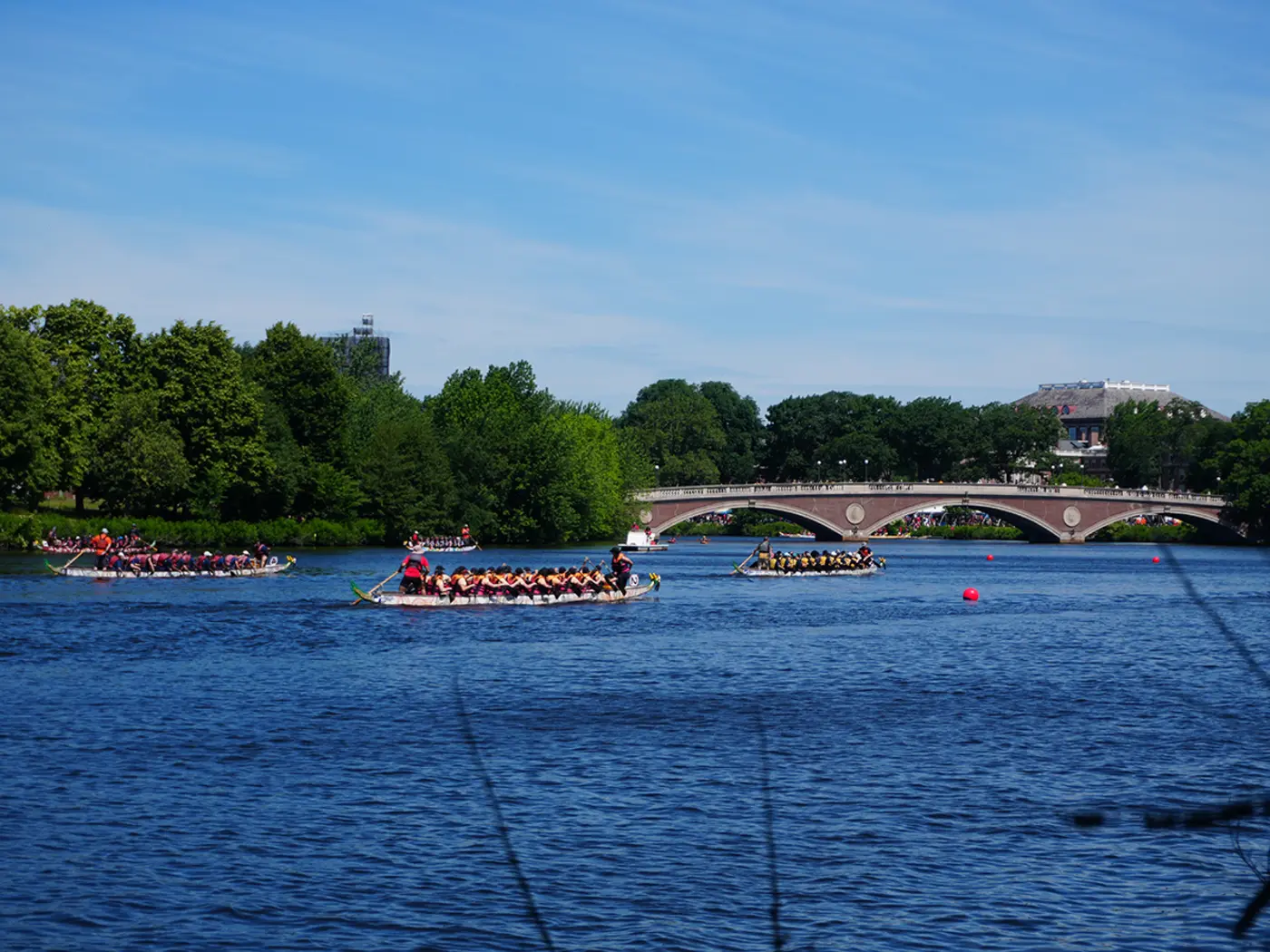 Several boats race down the Charles River in Cambridge