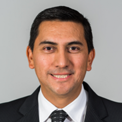 Fernando Meneses Alvarez