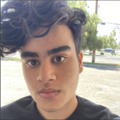 Dev Asnani