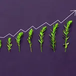 A abstract version of a line graph going up to the right with plants increasing in height